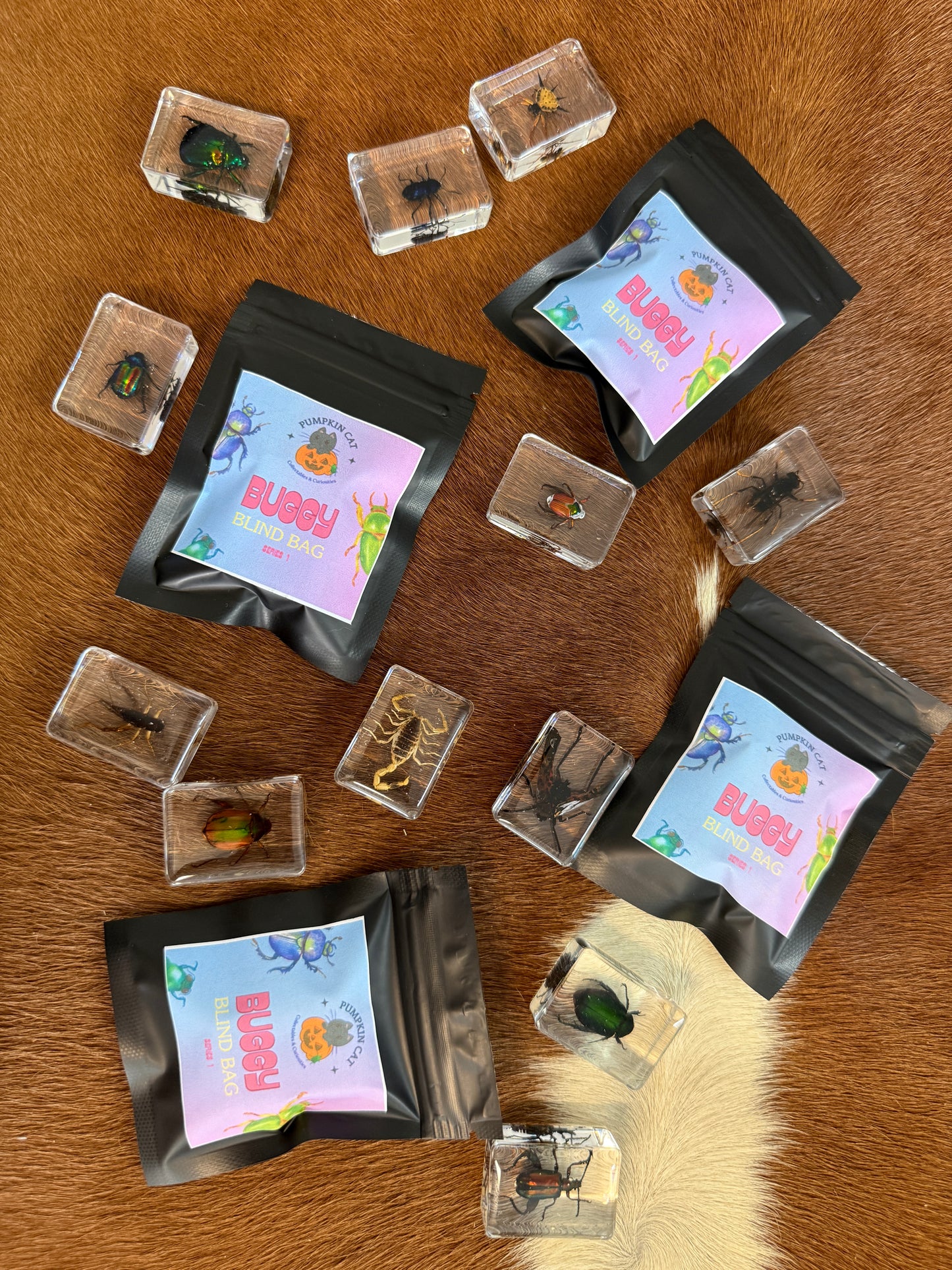 Buggy Blind Bag - Pumpkin Cat Collectables