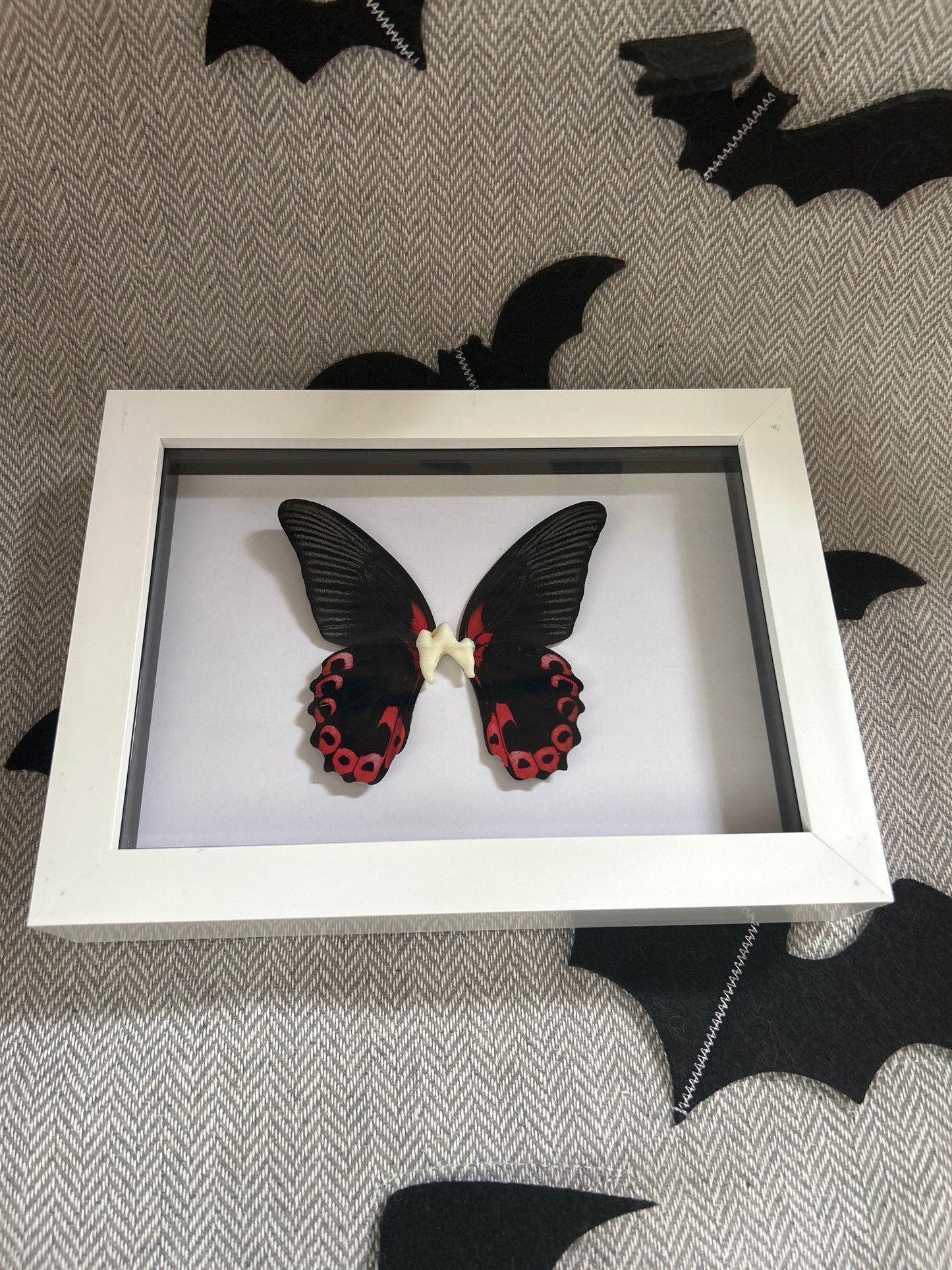 “Tooth Fairy” Frame