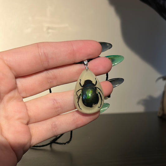Green Beetle in Resin Necklace