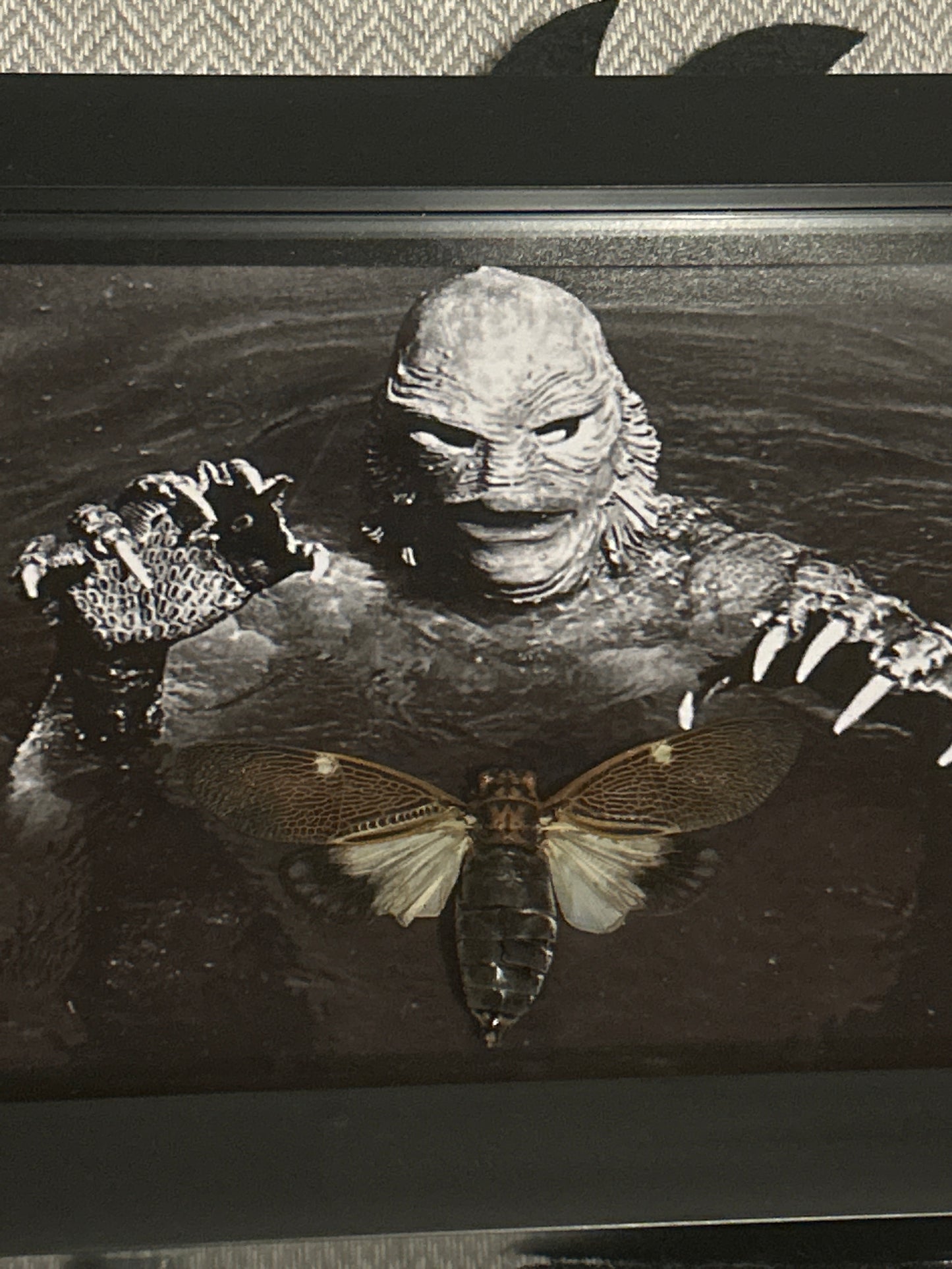 Swamp Thing Cicada Frame