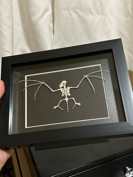 Replica Bat Skeleton Frame
