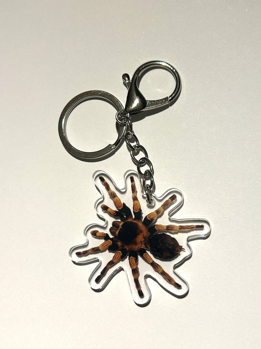 Tarantula Acrylic Keychain