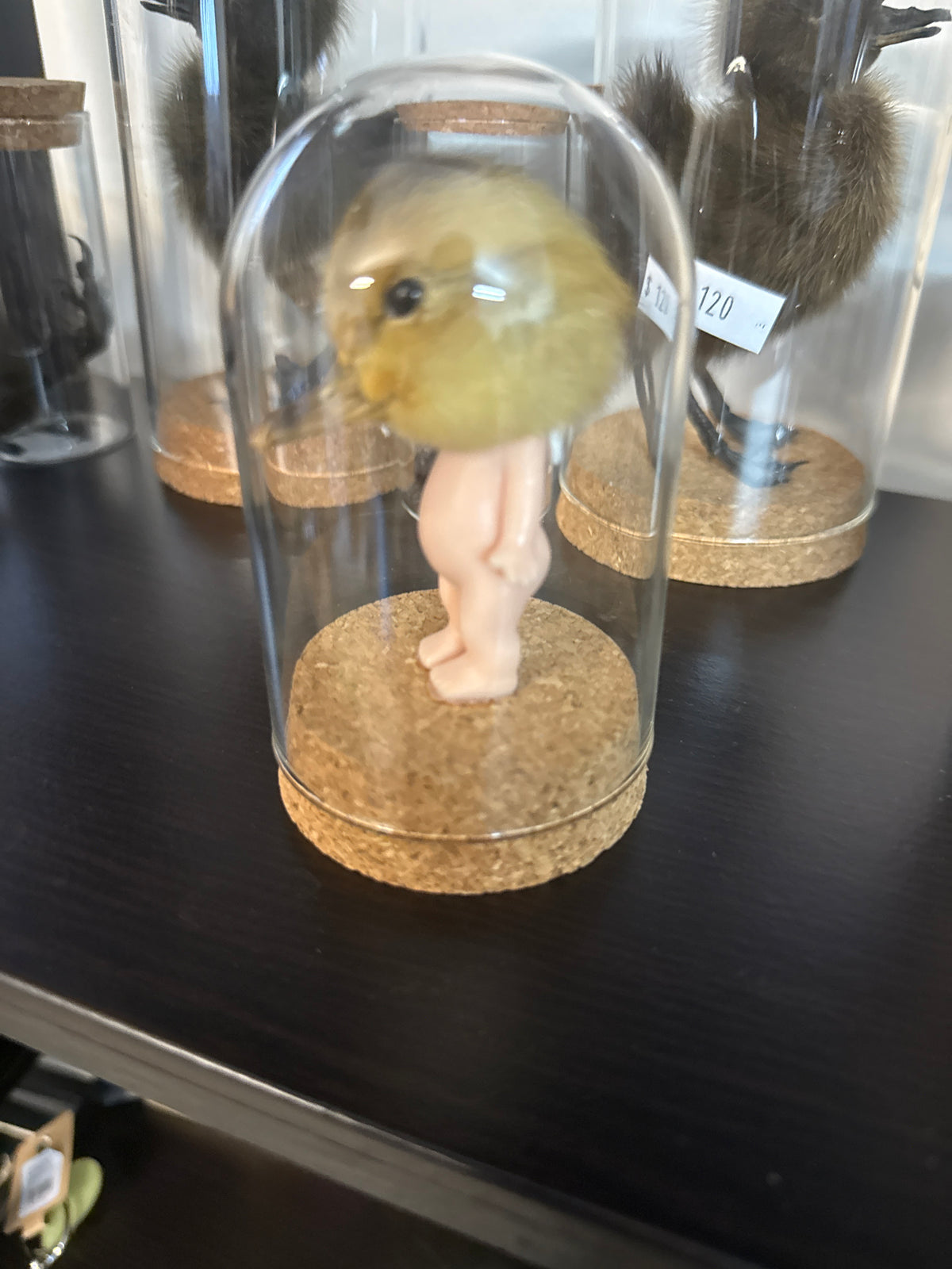 Sonny Duckling Dome