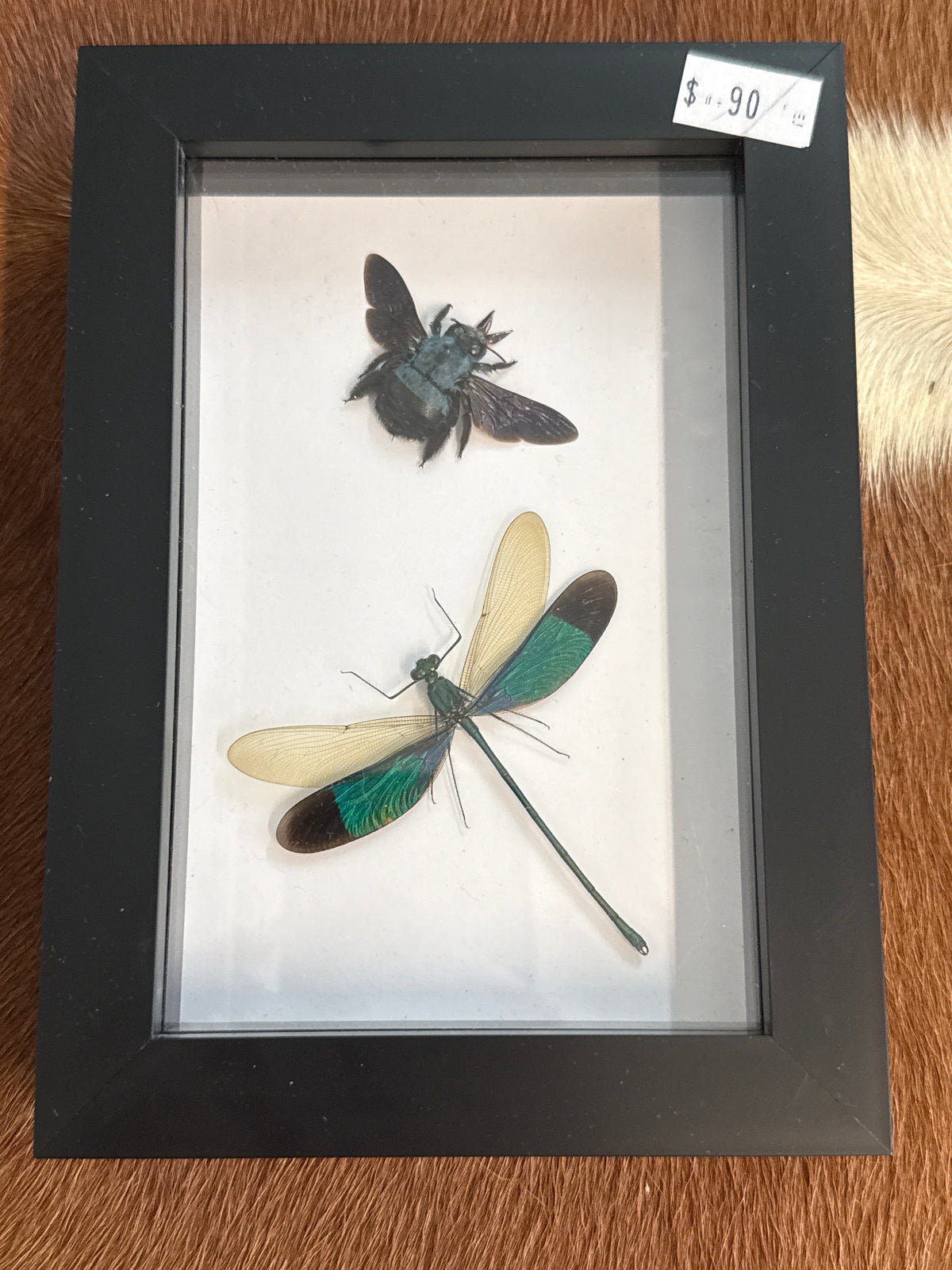Carpenter Bee & Damselfly Duo Frame