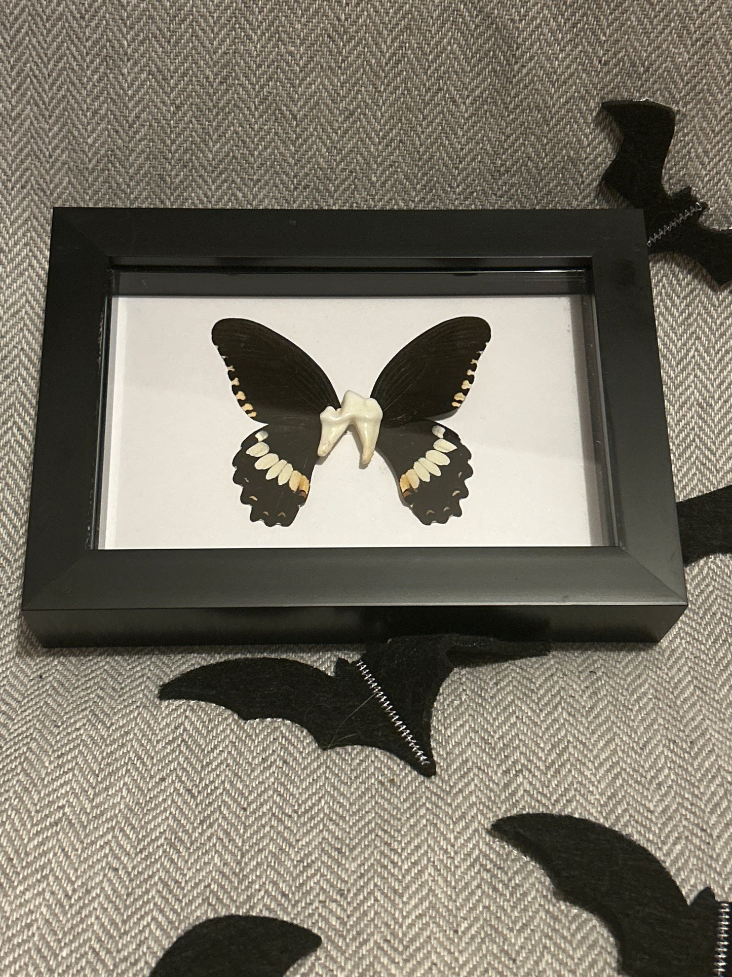 “Tooth Fairy” Frame