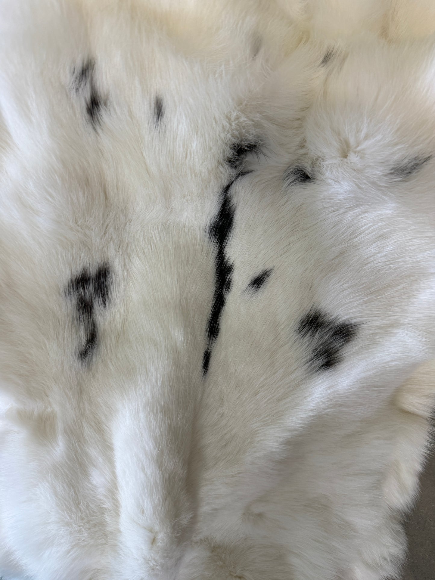 Rabbit Fur Pelt - Pumpkin Cat Collectables