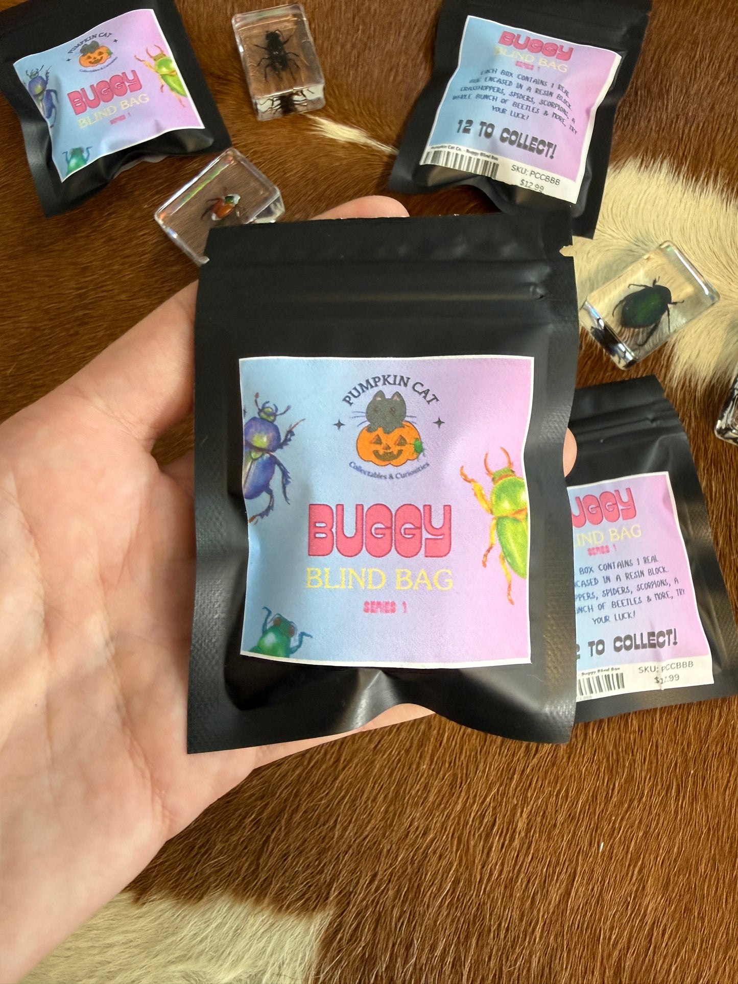 Buggy Blind Bag - Pumpkin Cat Collectables