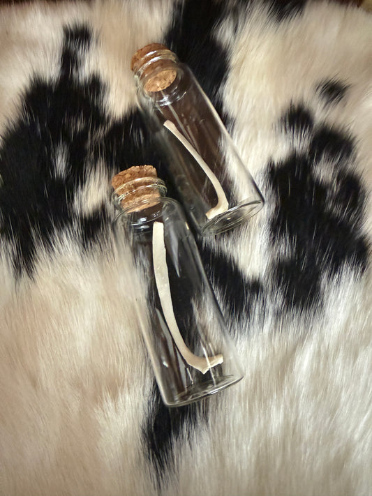 Fox Rib Oddity Jar - Pumpkin Cat Collectables