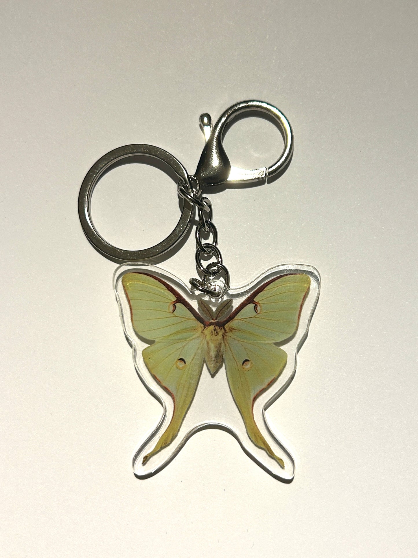 Luna Moth Acrylic Keychain