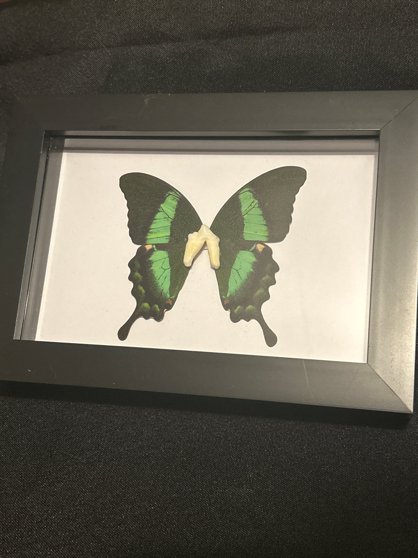 “Tooth Fairy” Frame