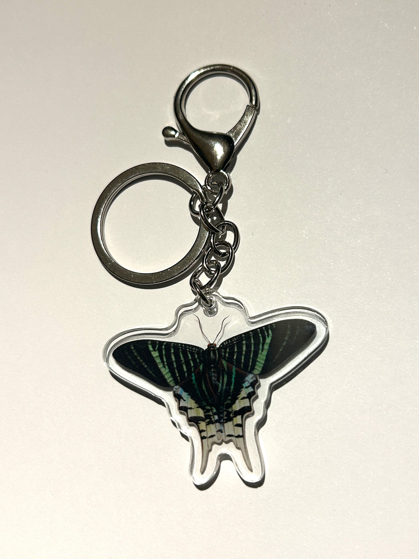 Urania Leilus Moth Acrylic Keychain