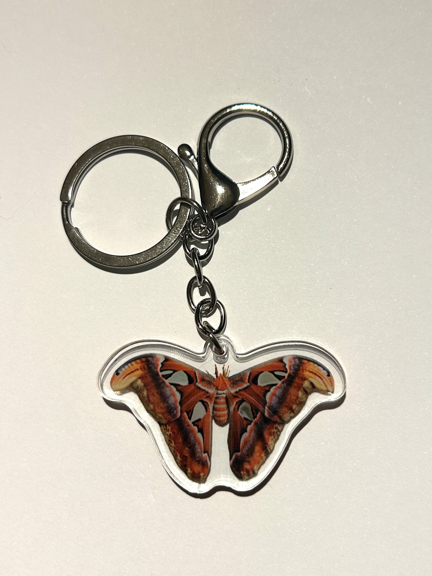 Atlas Moth Acrylic Keychain