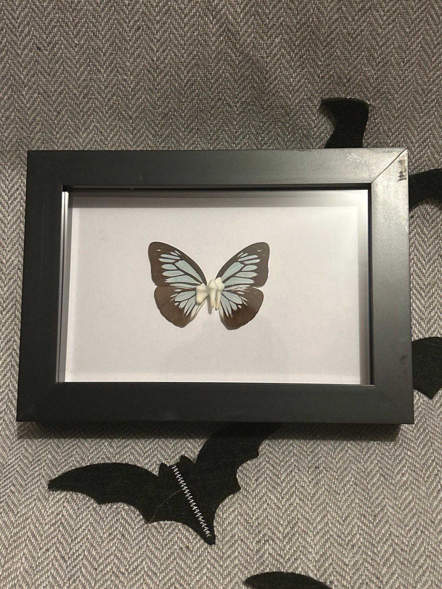 “Tooth Fairy” Frame