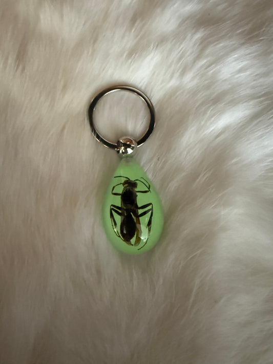 Insect in Resin Keychain - Pumpkin Cat Collectables