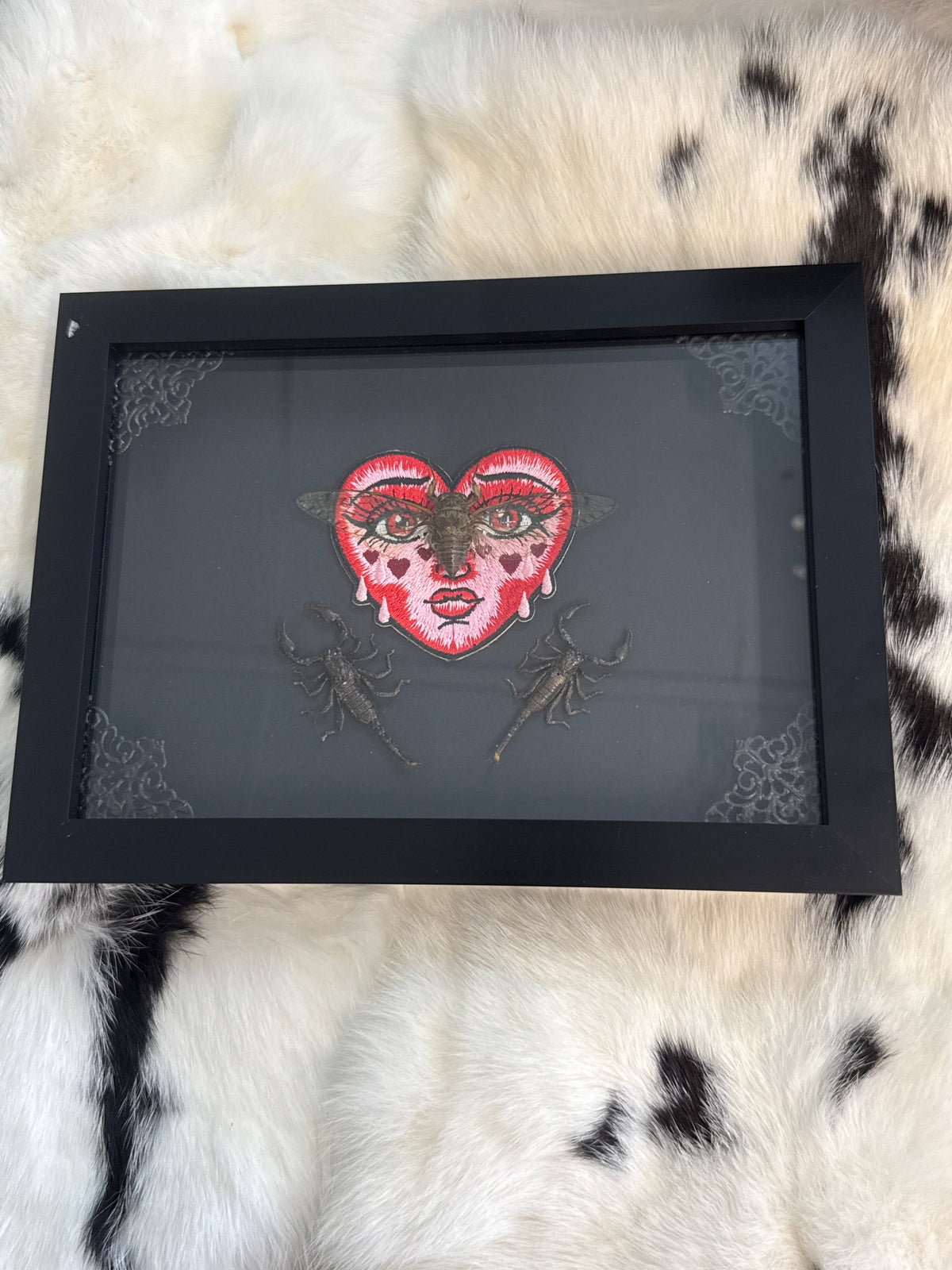 Pomponia Dolosa Cicada & Javan Scorpions in a Frame