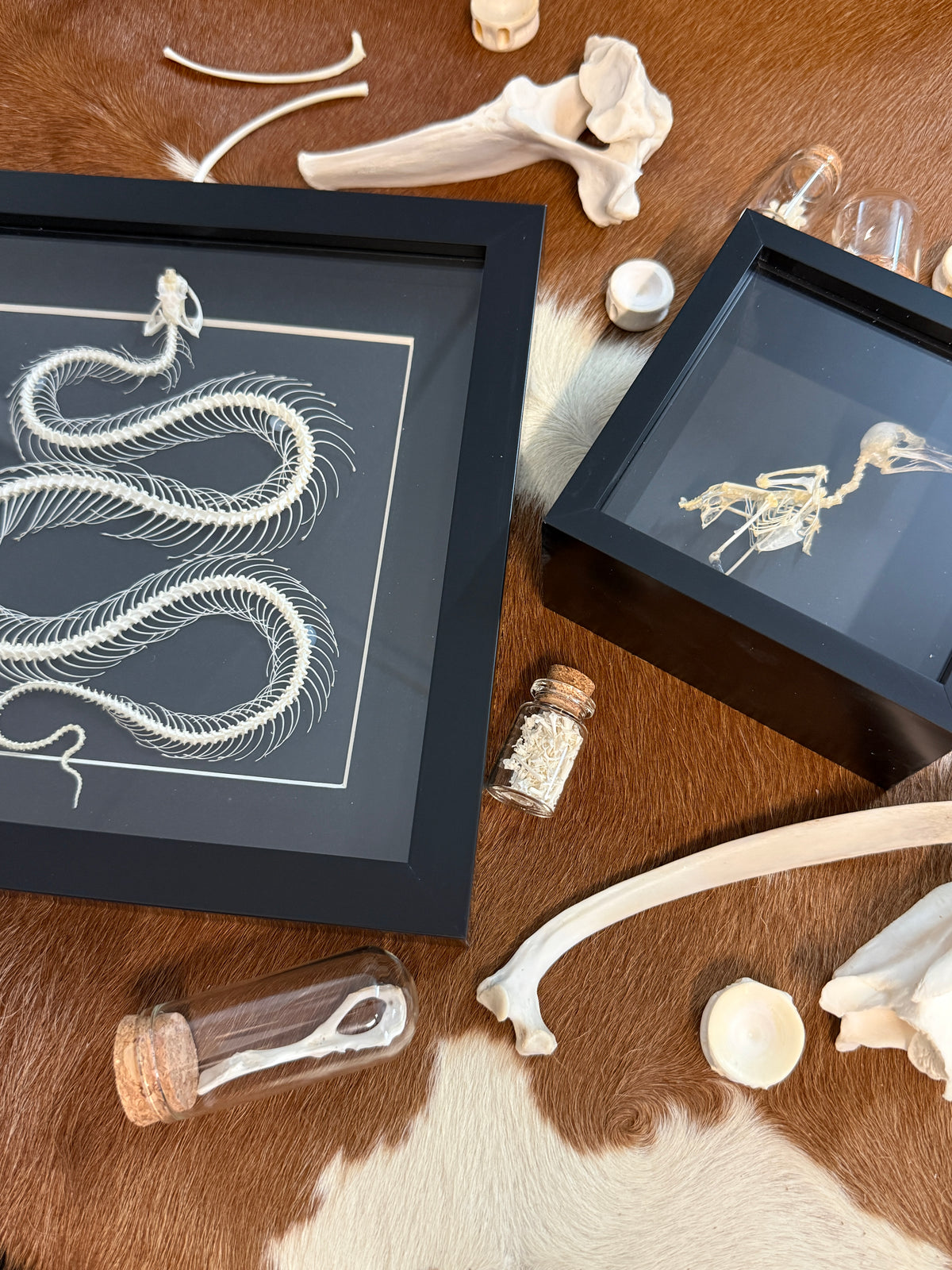 Halloween Boneyard Mystery Box