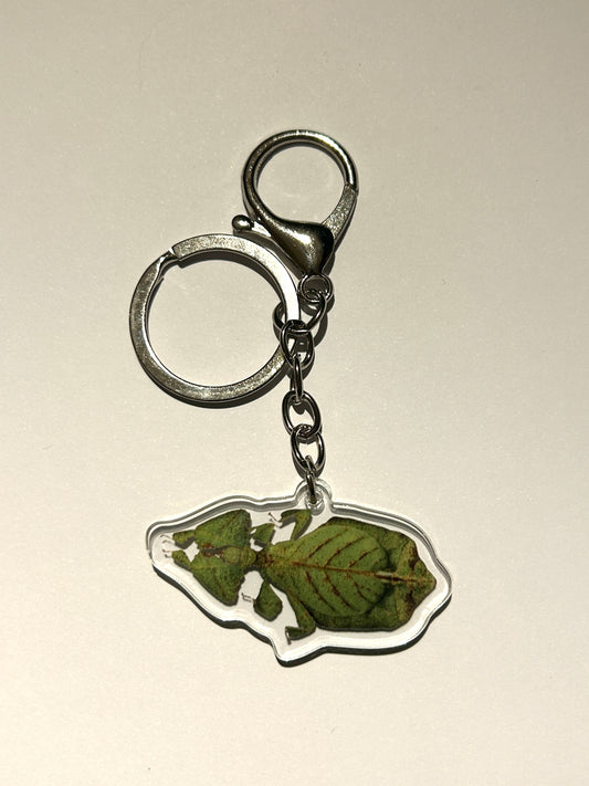 Leaf Insect Acrylic Keychain