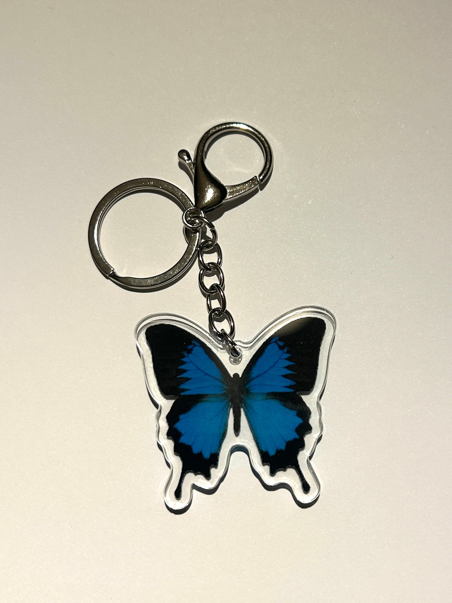 Ulysses Butterfly Acrylic Keychain