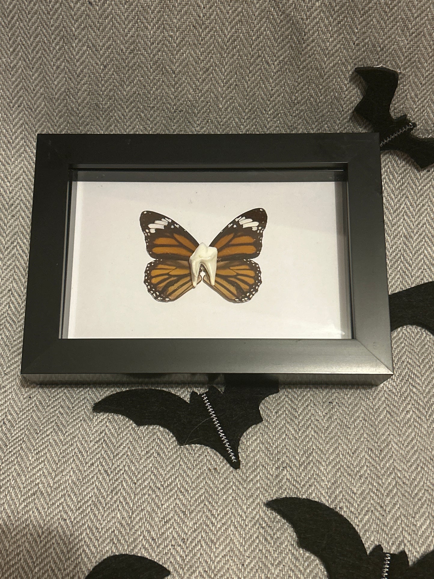 “Tooth Fairy” Frame