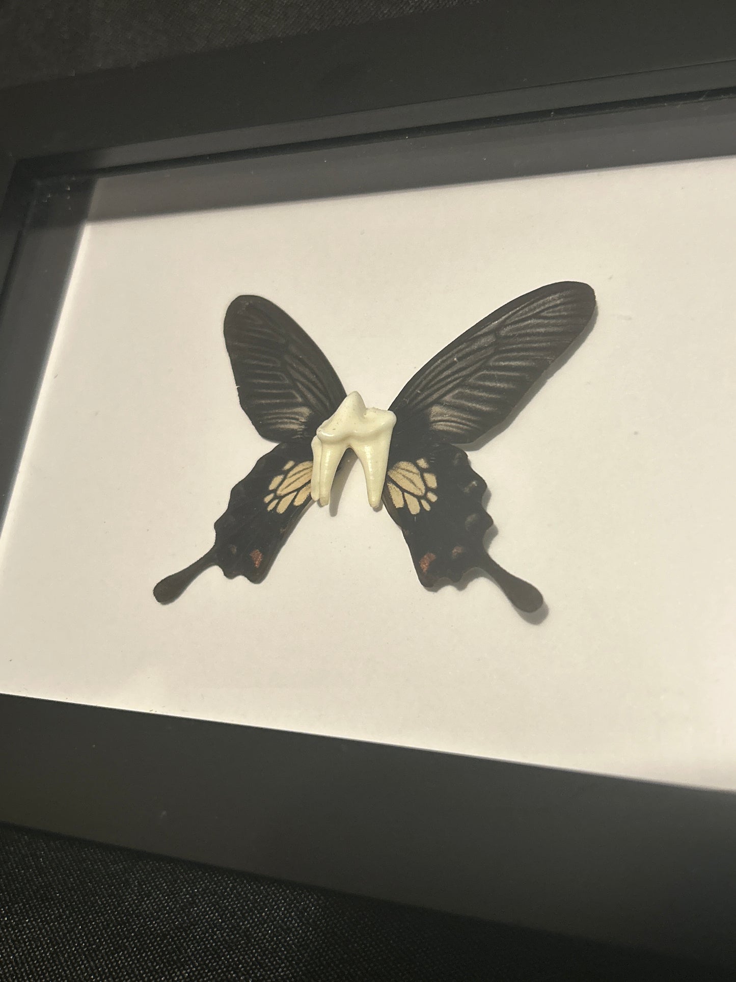 “Tooth Fairy” Frame