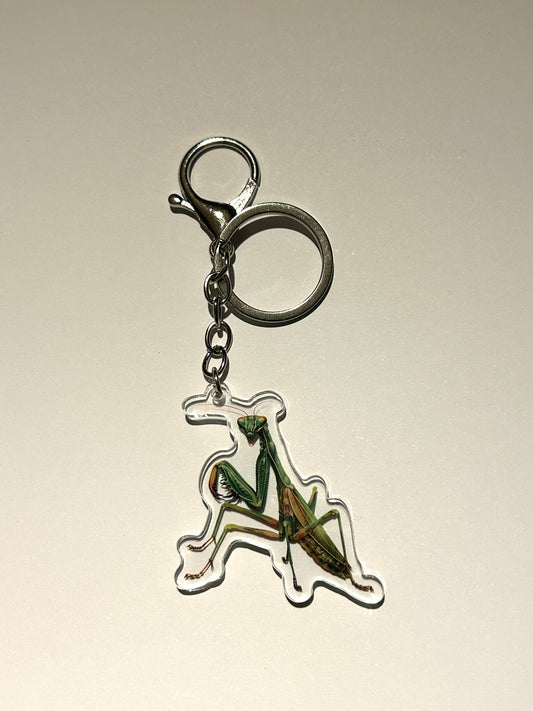 Praying Mantis Acrylic Keychain