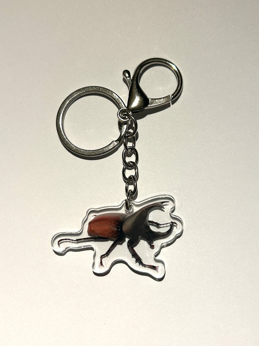 Rhino Beetle Acrylic Keychain