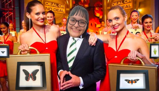 Live Sale - Deal or no Deal Box