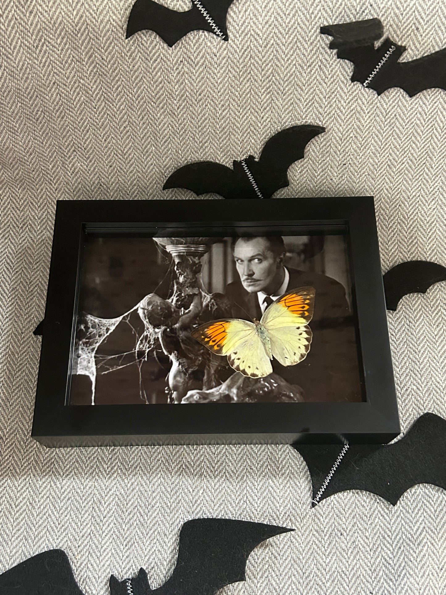 Cult Horror Butterfly Frame