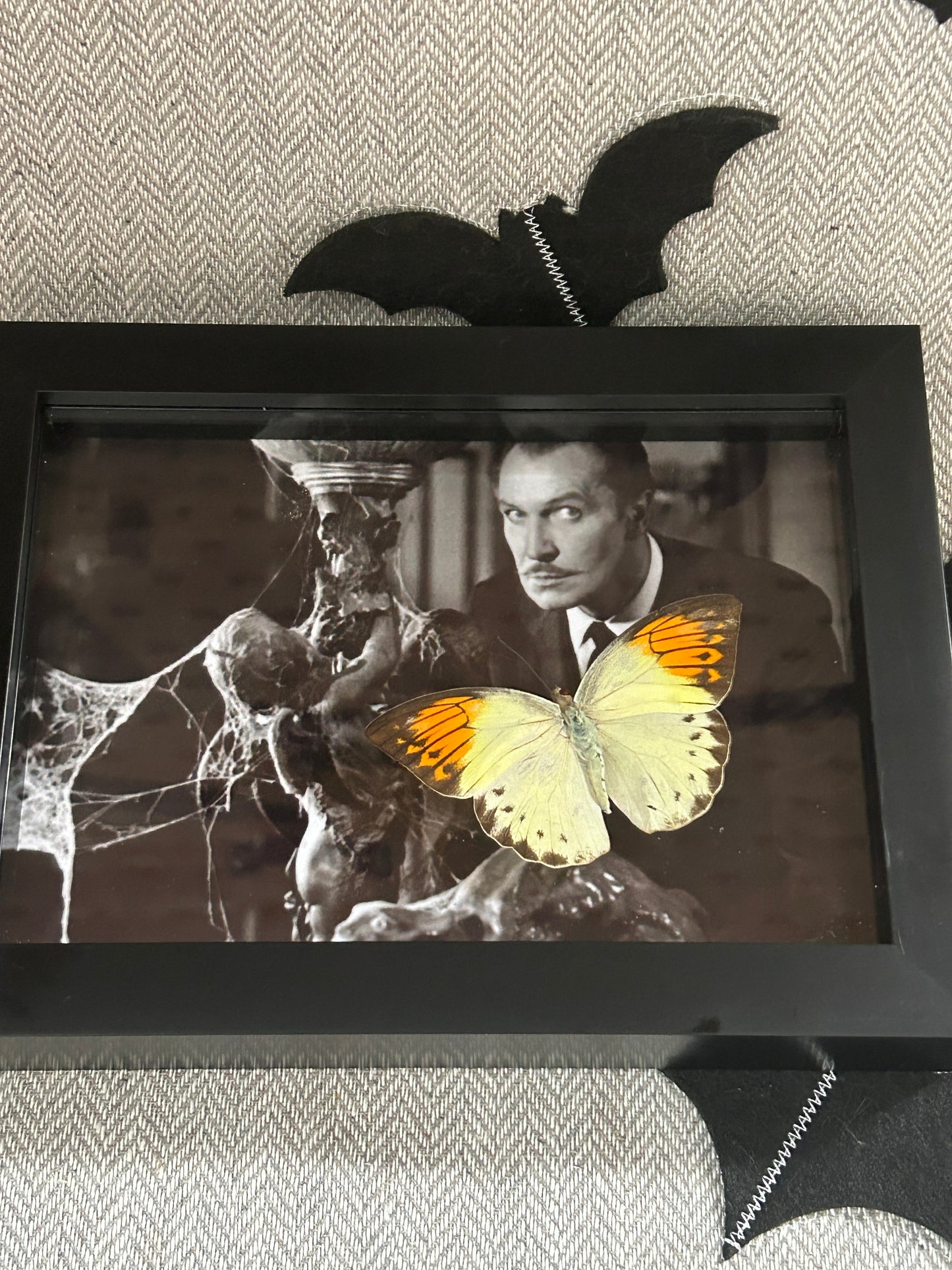 Cult Horror Butterfly Frame