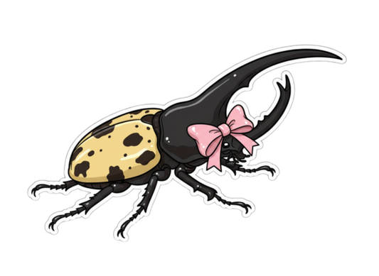 Die Cut Sticker - Bow Beetle - Pumpkin Cat Collectables