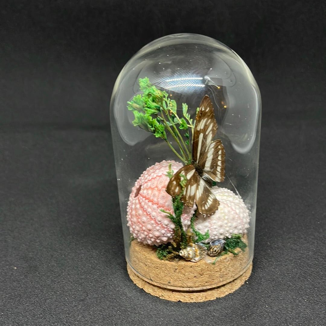 Black and White Butterfly in glass dome - Pumpkin Cat Collectables - pumpkincatcollectables.com