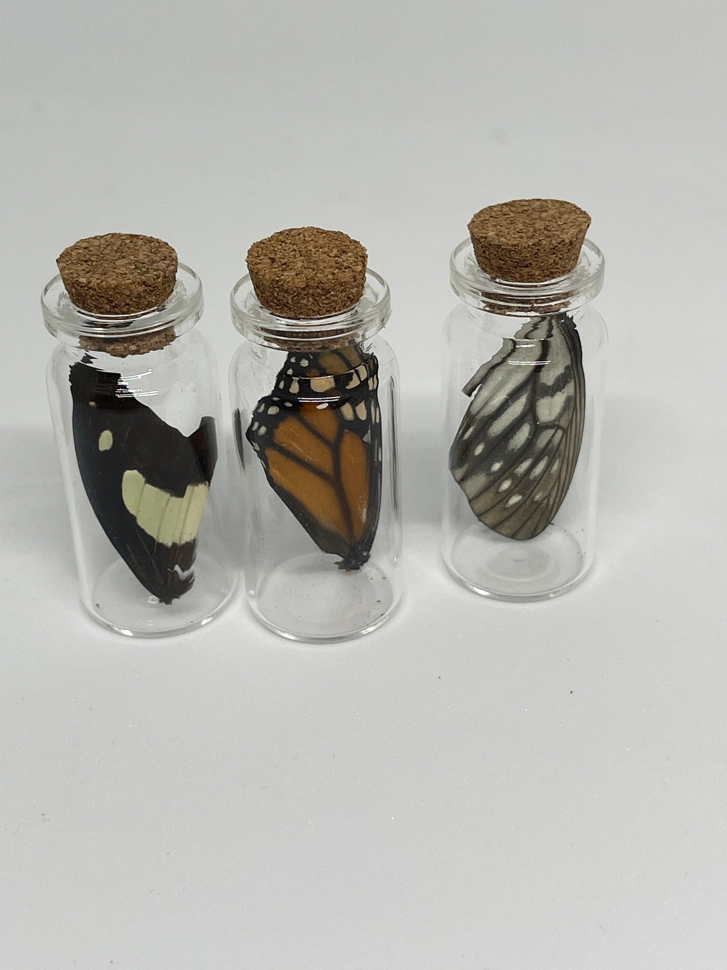 Butterfly Wing Jars - Pumpkin Cat Collectables - pumpkincatcollectables.com
