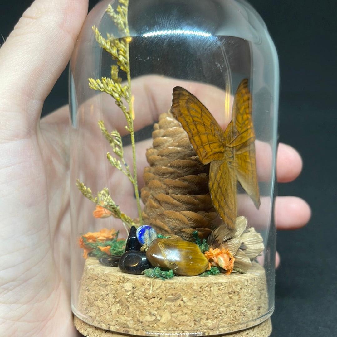 Beautiful Brown Butterfly in glass dome - Pumpkin Cat Collectables - pumpkincatcollectables.com